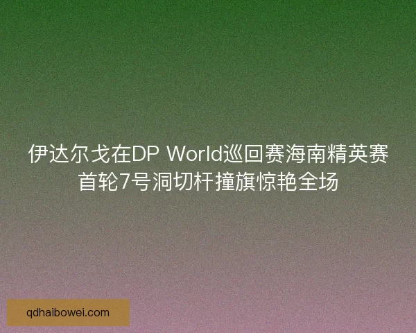 伊达尔戈在DP World巡回赛海南精英赛首轮7号洞切杆撞旗惊艳全场