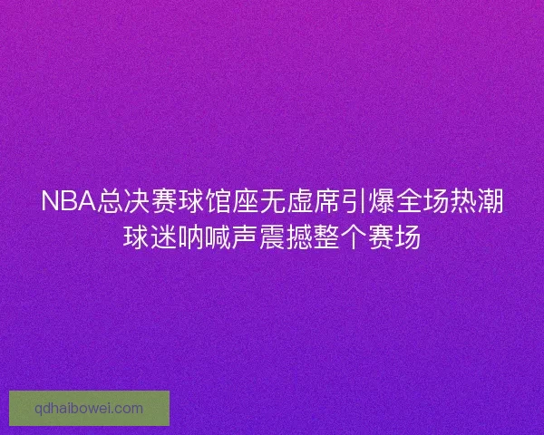 NBA总决赛球馆座无虚席引爆全场热潮球迷呐喊声震撼整个赛场
